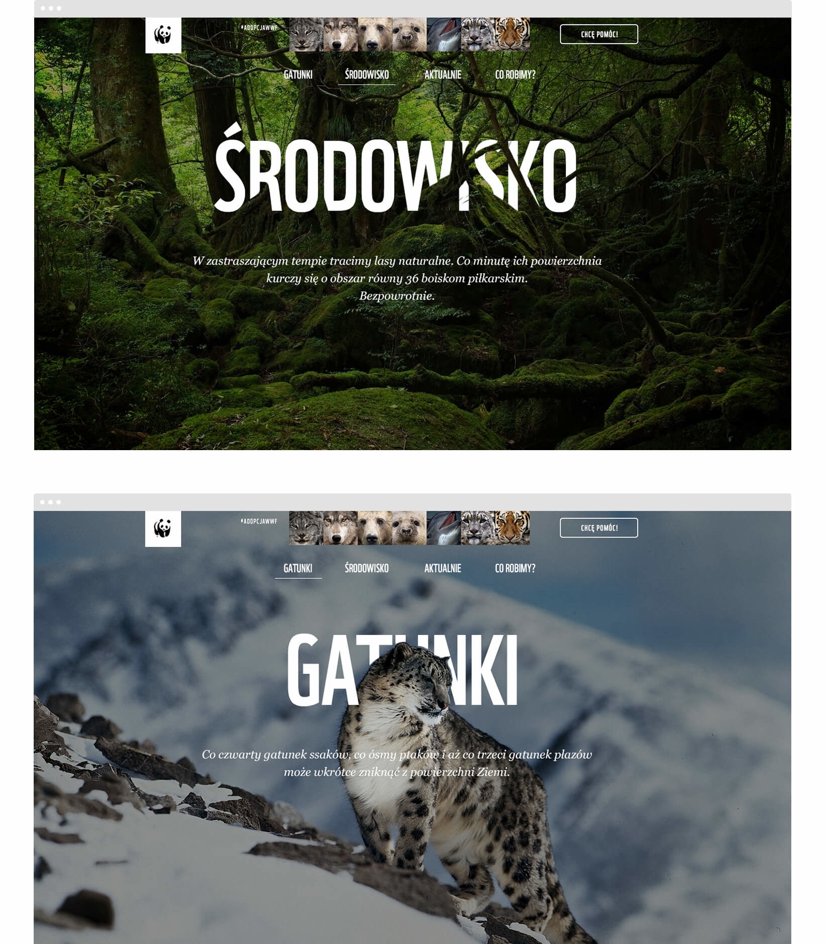 Nowy serwis WWF Polska - środowisko i gatunki
